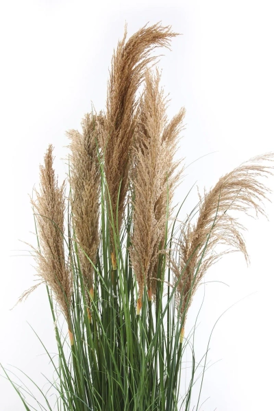 Sztuczna Trawa trzcinowa z kłosami 165 cm