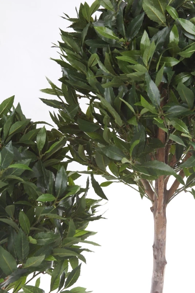 Sztuczne drzewko Laurowe De Luxe 170 cm 1406 liści