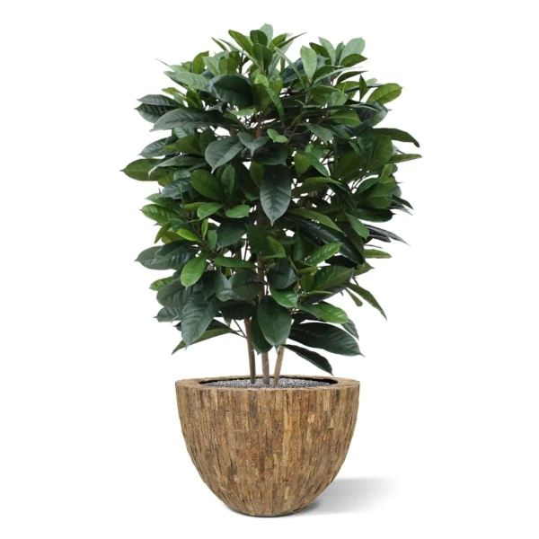 Gęsty sztuczny fikus Cyathistipula 120 cm deluxe