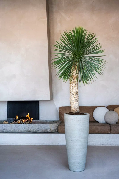 Dax L 37/80 wysoka donica kamienna beżowa