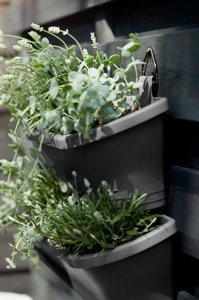 Corsica Vertical Forest Large antracytowe doniczki na ścianę 2 sztuki