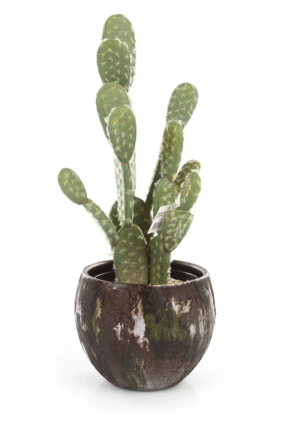 Roel 37/35 ceramiczna donica zielonosrebrna