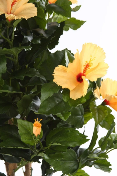 Sztuczny Hibiskus 100 cm pomarańczowe kwiaty deluxe