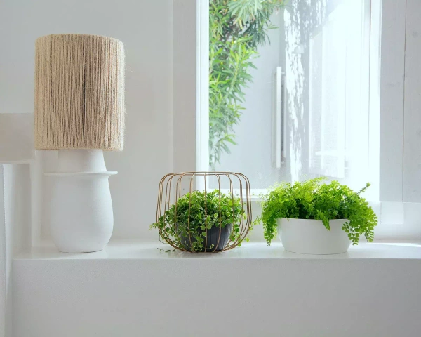 San Remo Bowl 23/11 misa na bonsai taupe