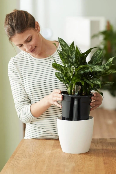 System nawadniający do roślin w ziemi 33/31 cm Elho uniwersalny