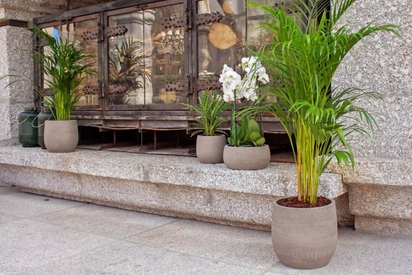 Hemera Bowl 29/14 osłonka na bonsai ceramiczna taupe