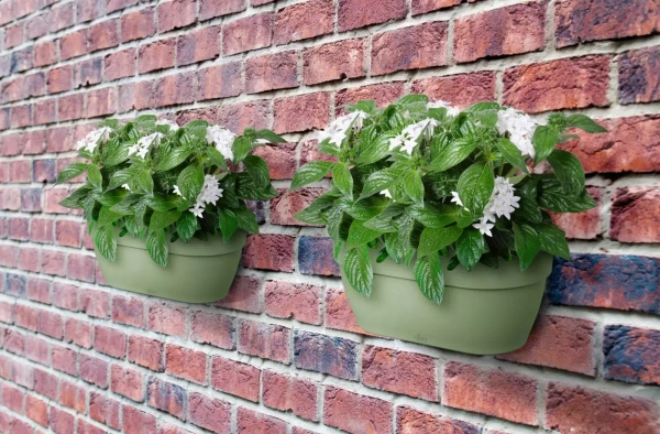 Vibia Wall Basket 35x16/15 doniczka naścienna pistacjowa pistachio green