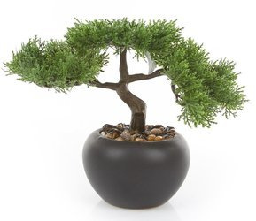 Sztuczne drzewko Bonsai Cedr 26 cm czarnej doniczce