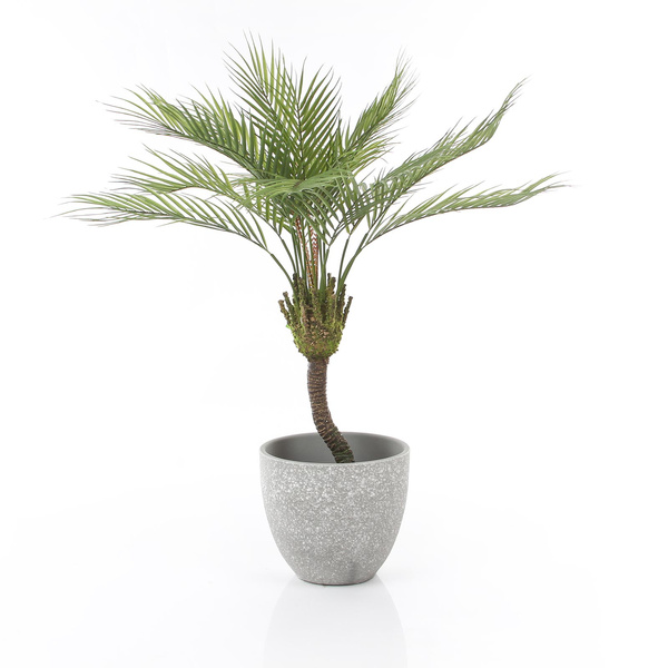 Sztuczna palma Chamedora na pniu 85 cm jak żywa