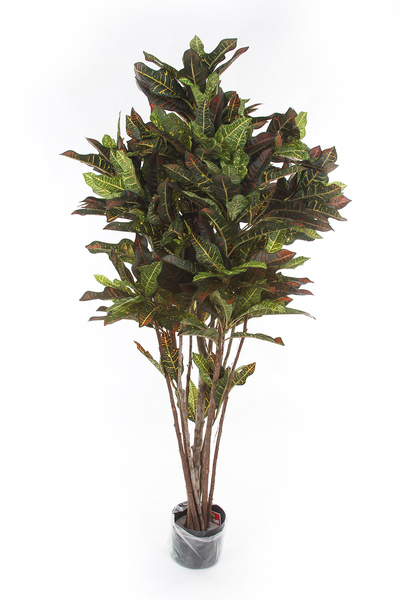 Sztuczny Kroton 150 cm 336 liści