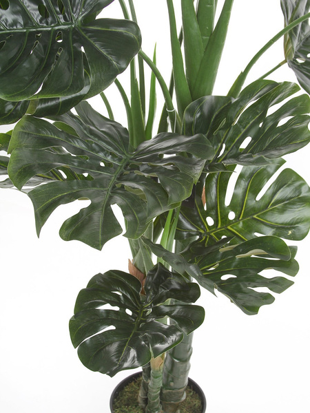 Sztuczna Monstera dziurawa deliciosa wysoka 175 cm d80 cm duże liście