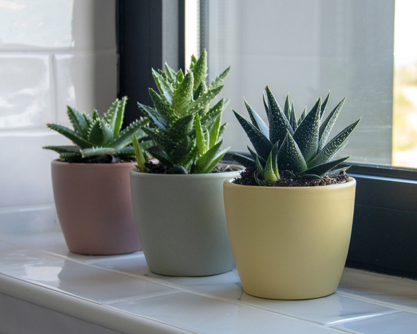 NUBIA 8 mała osłonka ceramiczna ciemno zielona