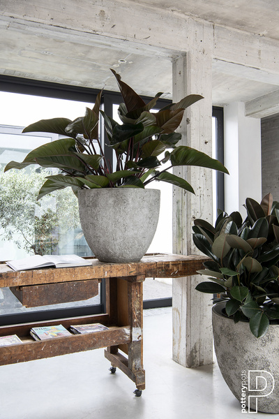 BERND XL 66/75 donica naturalna tekstura cesarska biel