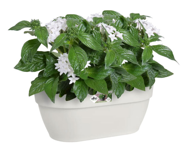 Vibia Wall Basket 35x16/15 doniczka naścienna biały silky white