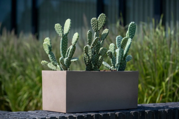 Balcony S 50x20/20 donica kamienna prostokątna taupe