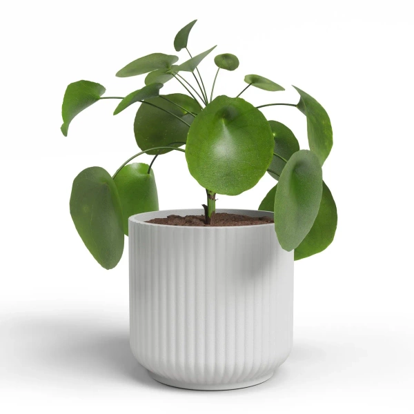 Luna 8/8 biała osłonka w prążki ceramiczna