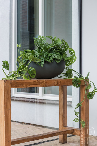 Morgana XXS 30/13 doniczka misa naturalna szara Clouded Grey