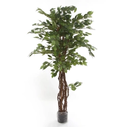 Sztuczny Fikus Liana 170 cm 1008 liści drewniane pnie