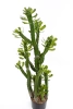 Sztuczny Kaktus Euphorbia Royleana 118 cm
