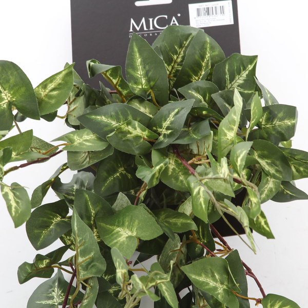 Sztuczna Fittonia Fitonia wisząca pnącze 80 cm