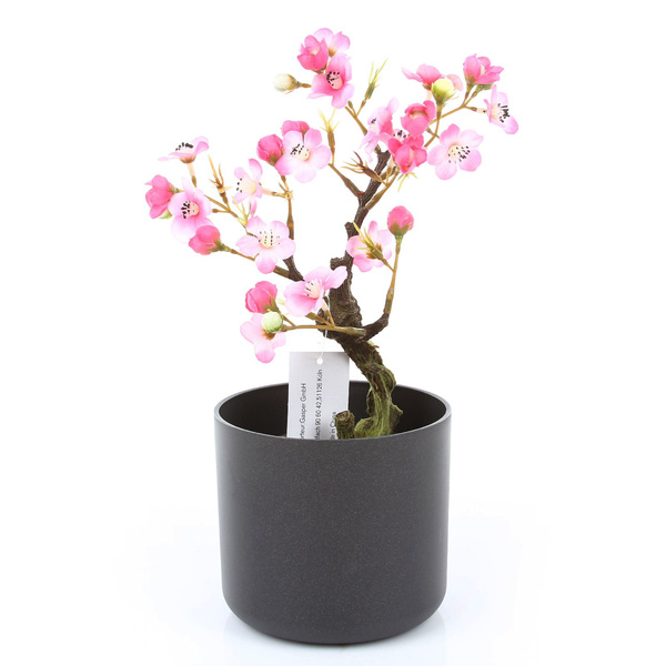 ONO 11/10 osłonka walec antracytowa