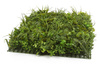 Sztuczna zielona ściana panel Greenery Mix 75x50cm