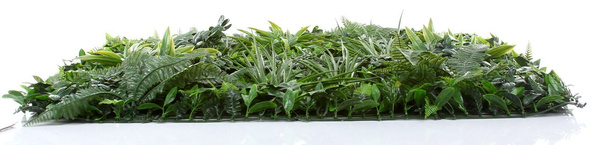 Sztuczna Zielona ściana mata 100x100 mix roślin UV wodoodporna