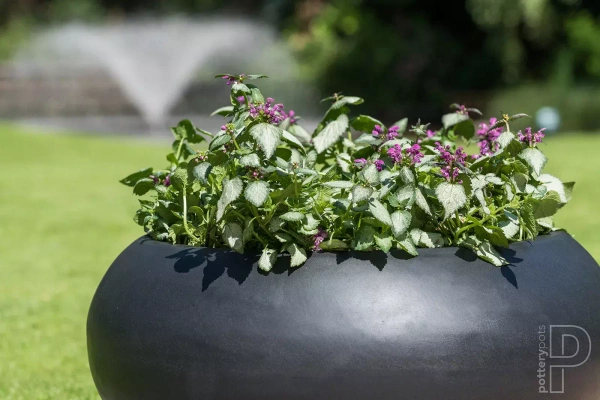 Cora S 47/25 czarna osłonka płaska i szeroka kamienna na taras