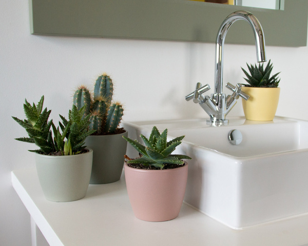 NUBIA 10 osłonka ceramiczna ciemno zielona