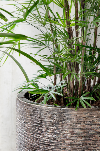 UNIVERSE WRINKLE CYLINDER 23/22 ekskluzywna donica cylindryczna brązowa