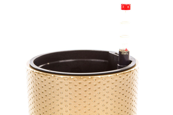 Zestaw do hydroponiki 11/9 Era 12 złota wytłaczana