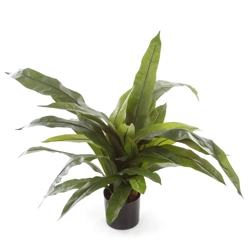 Sztuczne Asplenium paproć 80 cm 33 liście