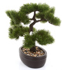 Sztuczne drzewko Bonsai Pinia Sosna 32 cm w brązowej doniczce