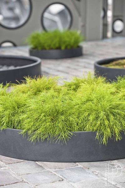 Max Low XXL 100/14 płaska duża donica czarna