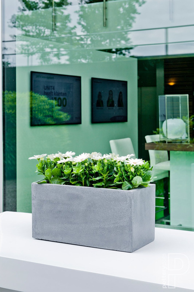 Balcony S 50x20/20 prostokątna doniczka czarna