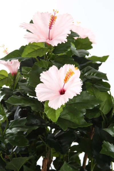 Sztuczny Hibiskus 100 cm różowe kwiaty deluxe