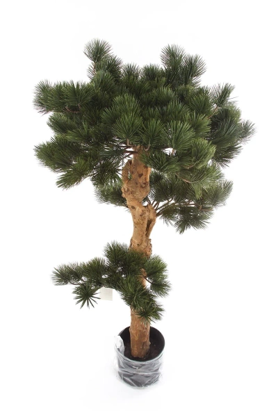 Sztuczny Bonsai Sosna Pinia 110 cm deluxe