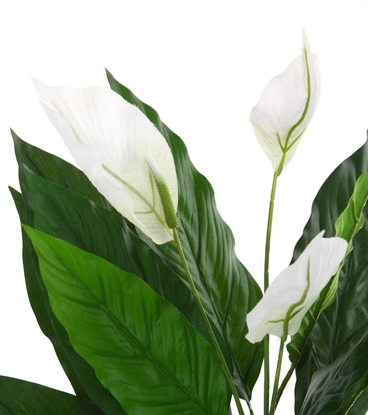 Sztuczny Skrzydłokwiat Spathiphyllum 71 cm z białymi kwiatami