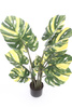 Sztuczna Monstera dziurawa Variegara żółto-zielona 90 cm