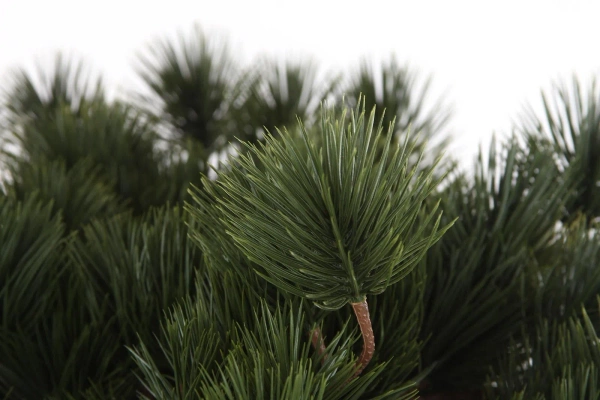 Sztuczny Bonsai Sosna Pinia 110 cm deluxe