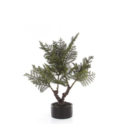 Sztuczny bonsai jodła 73 cm