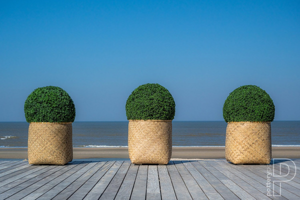 Zayn XXS 37/36 naturalne doniczki bambusowe