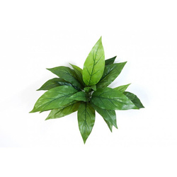 Sztuczna Kordylina 30 cm zielona