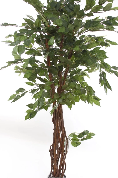Sztuczny Fikus Liana 170 cm 1008 liści drewniane pnie