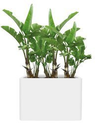 Pure Soft Brick Divider 80x30/60 wysoka biała donica prostokątna na kółkach