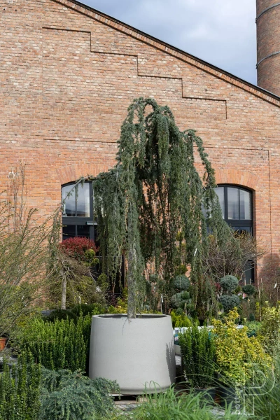 Jumbo Patt XS 73/61 beżowa donica kamienna