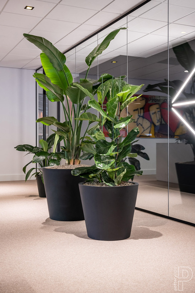 Bucket M 58/50 betonowa donica czarna