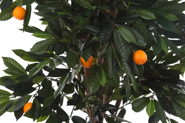 Sztuczne drzewko Mandarynkowe 140 cm cytrusy