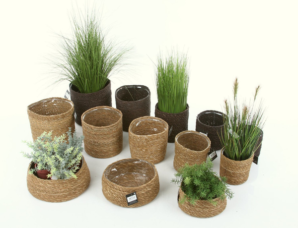 ATLANTIC 12/12 naturalna osłonka z trawy morskiej ciemnobrązowa