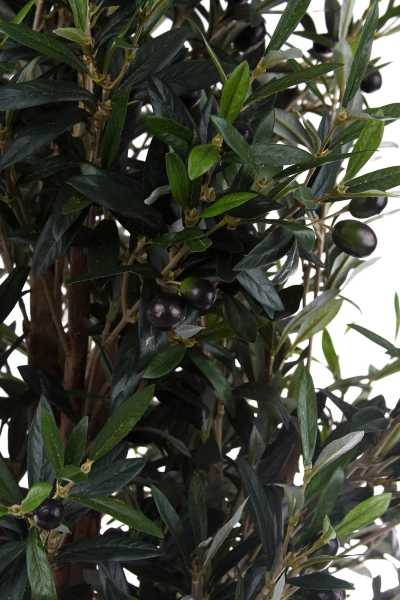 Sztuczne drzewko oliwka 150 cm z owocami smukłe